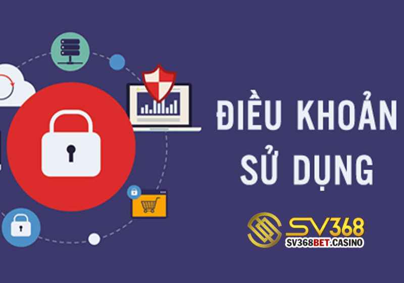 Đôi nét về điều khoản và điều kiện SV368